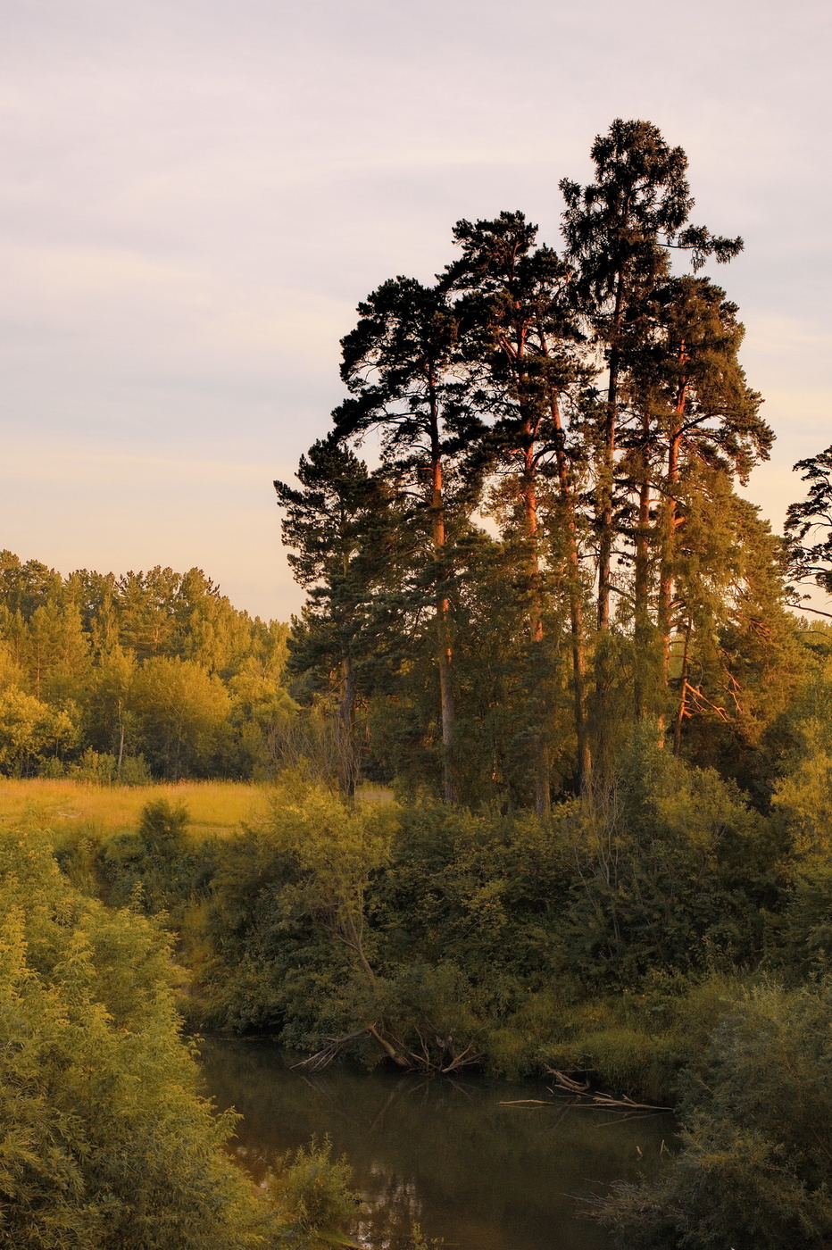 Тёплый вечер.