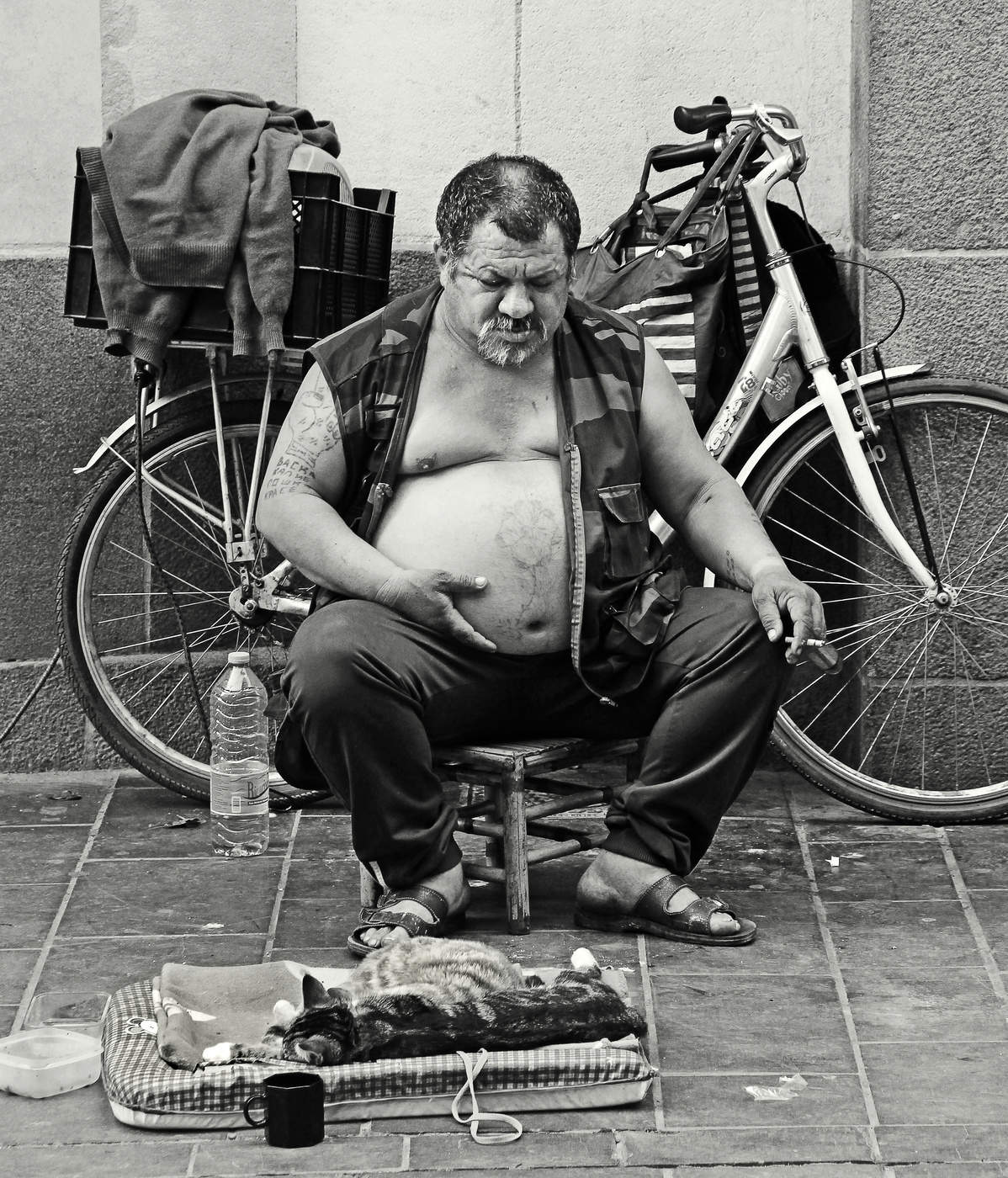 Сбор средсв кошчёнке на молочко