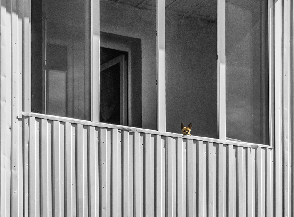 "Камера слежения"...