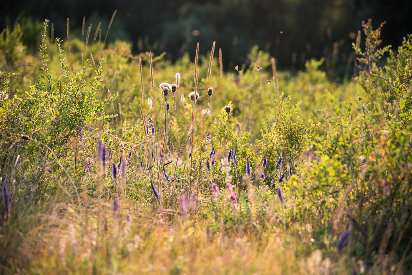 Жара, июль...