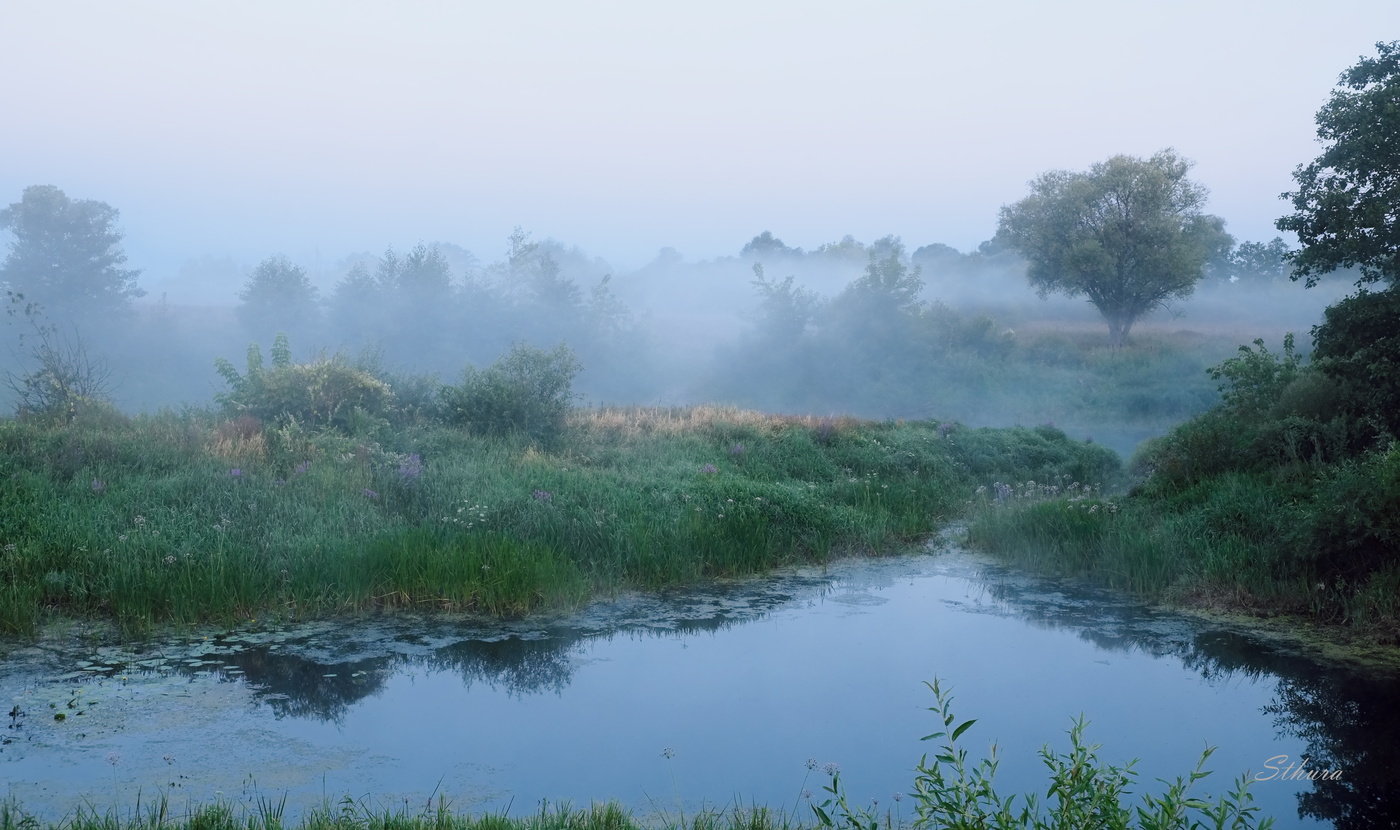 Туман утра.