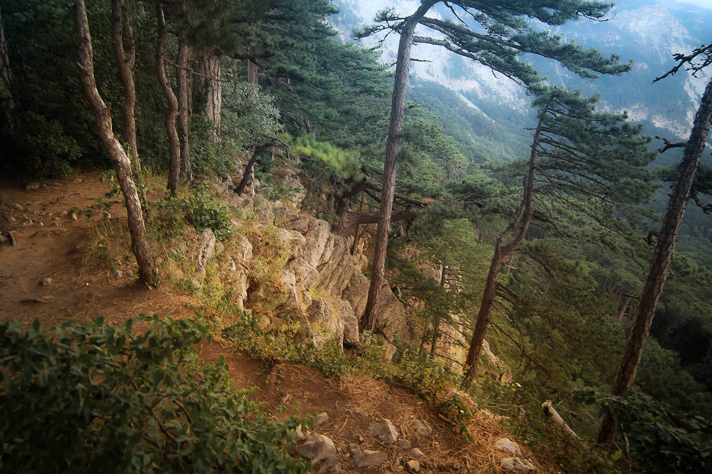 В горах Крыма