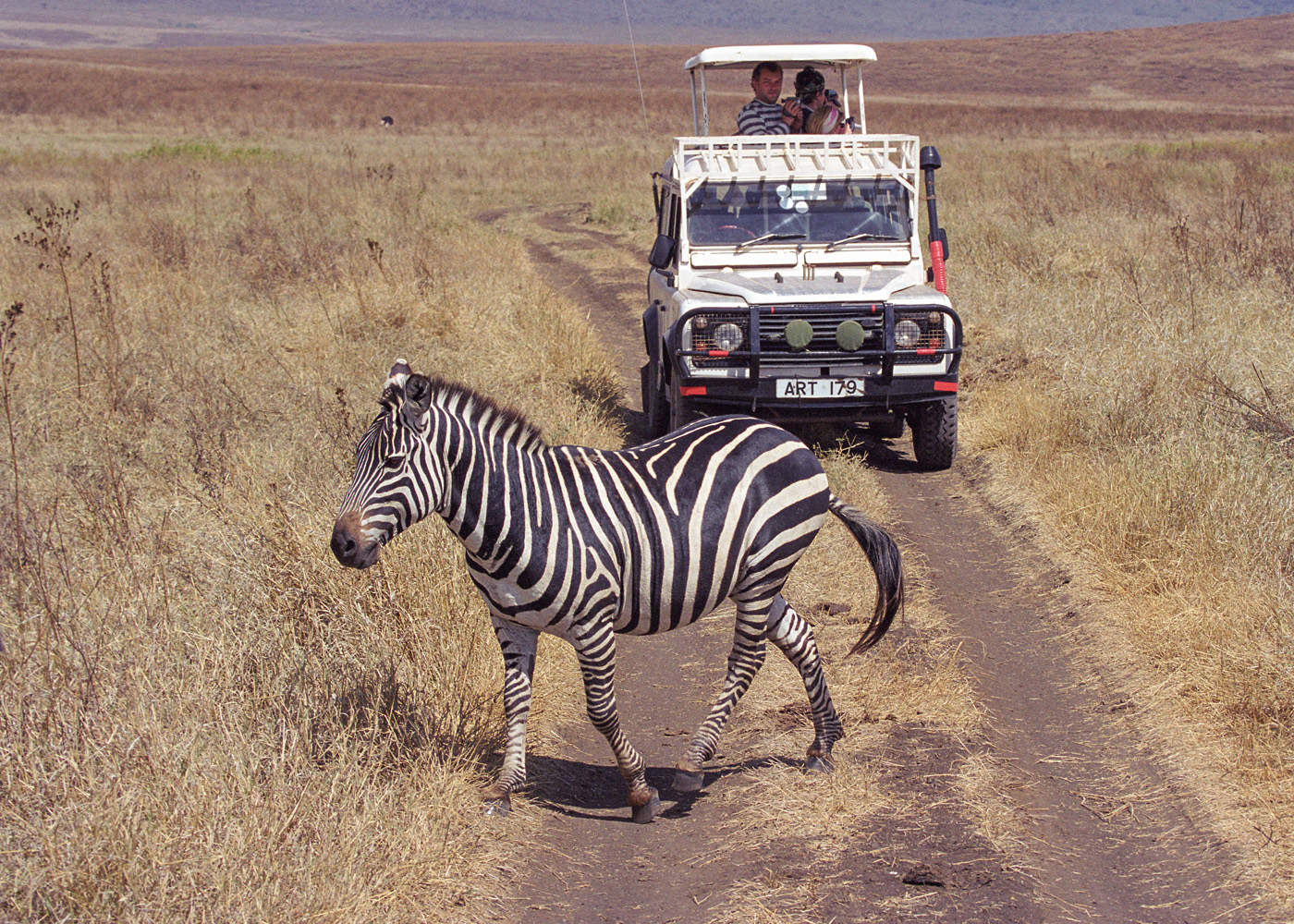 Дресс код или Весь мир в полоску