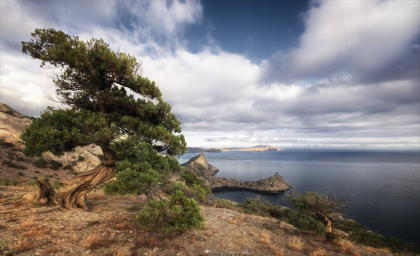 Мне снился запах моря...