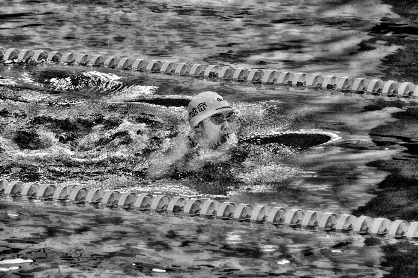 Победный заплыв.