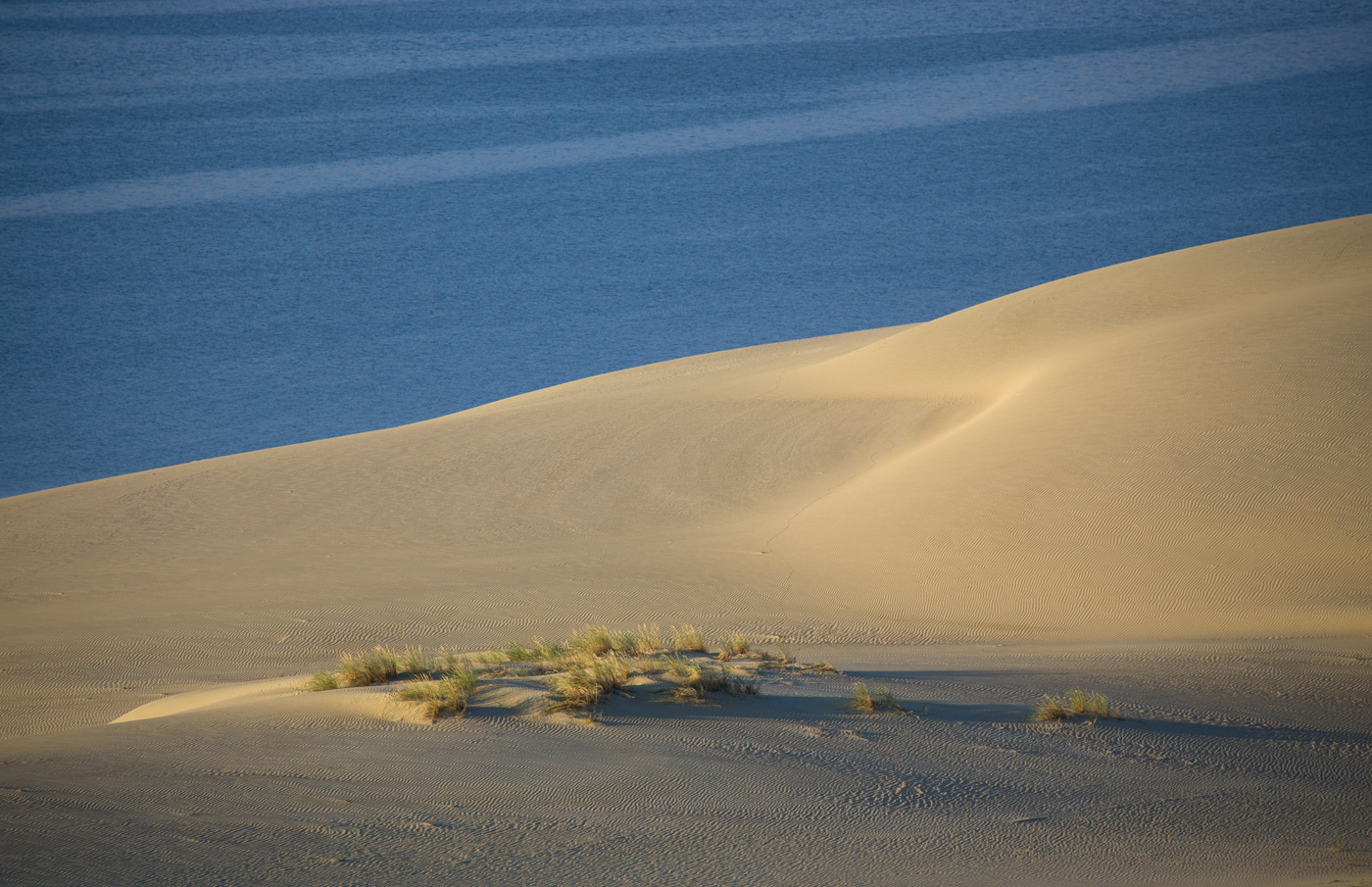 Островок Флоры