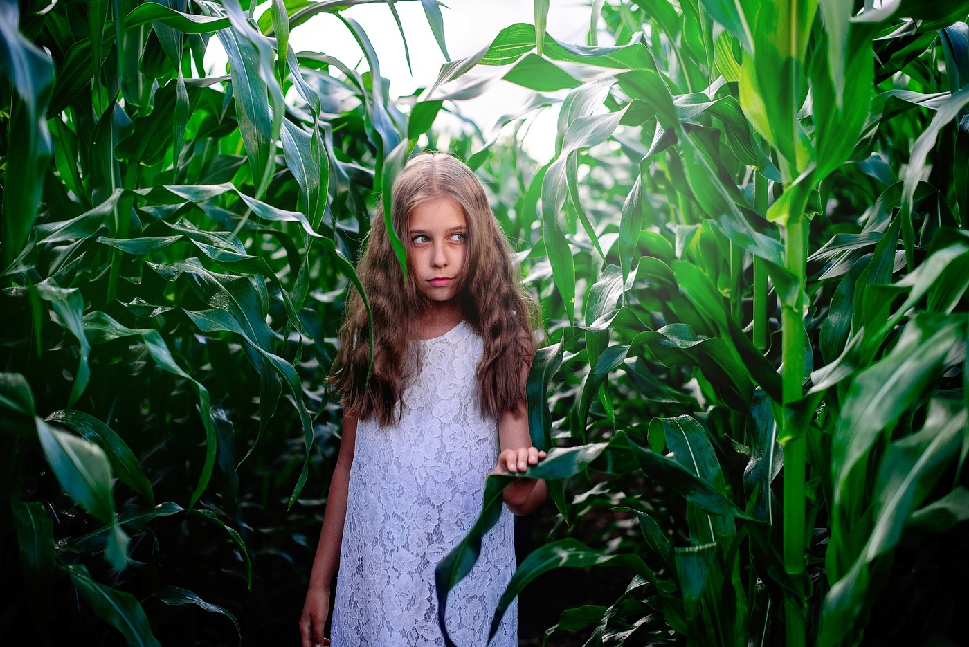 Портрет Полины Мячинской