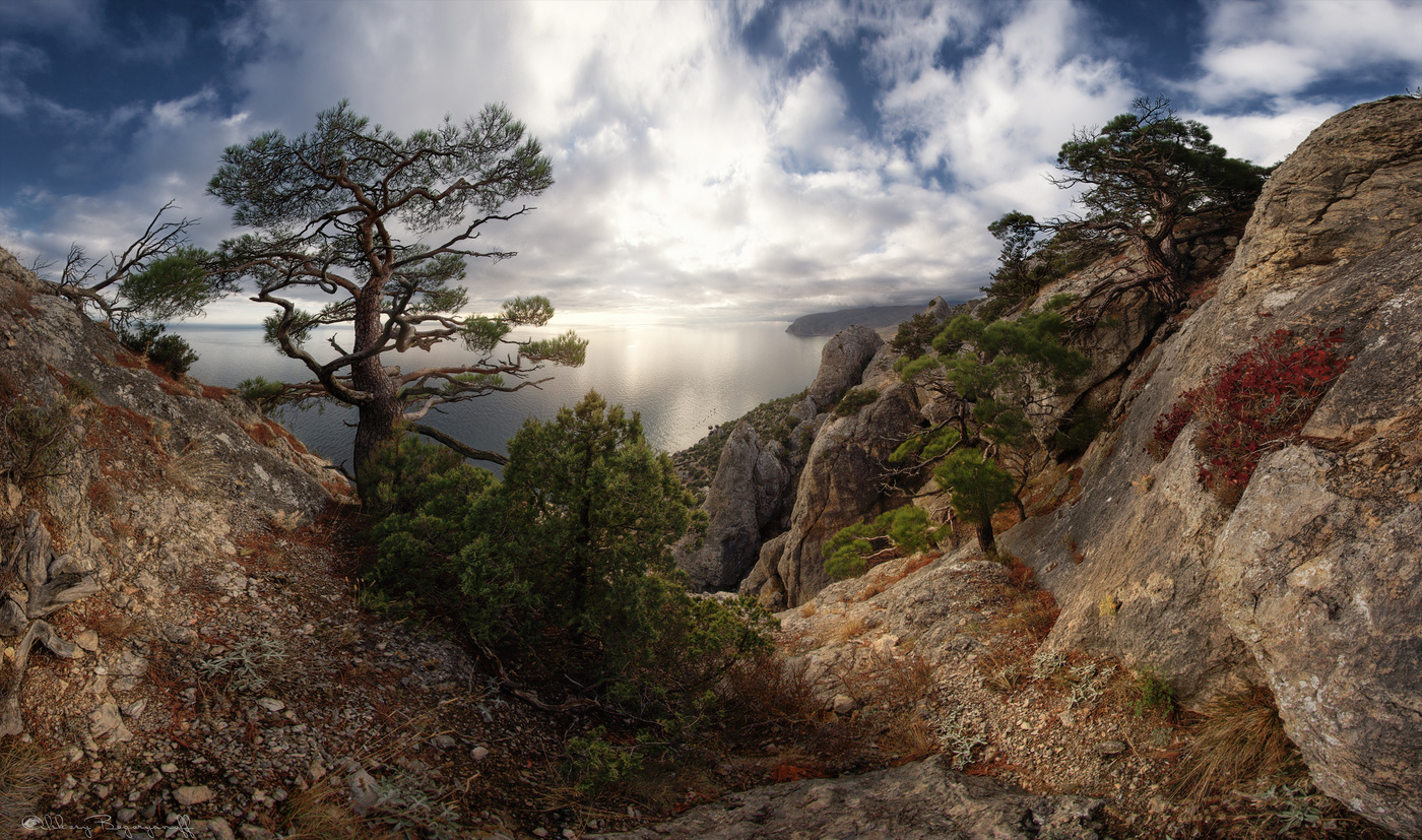 Забытые тропинки.
