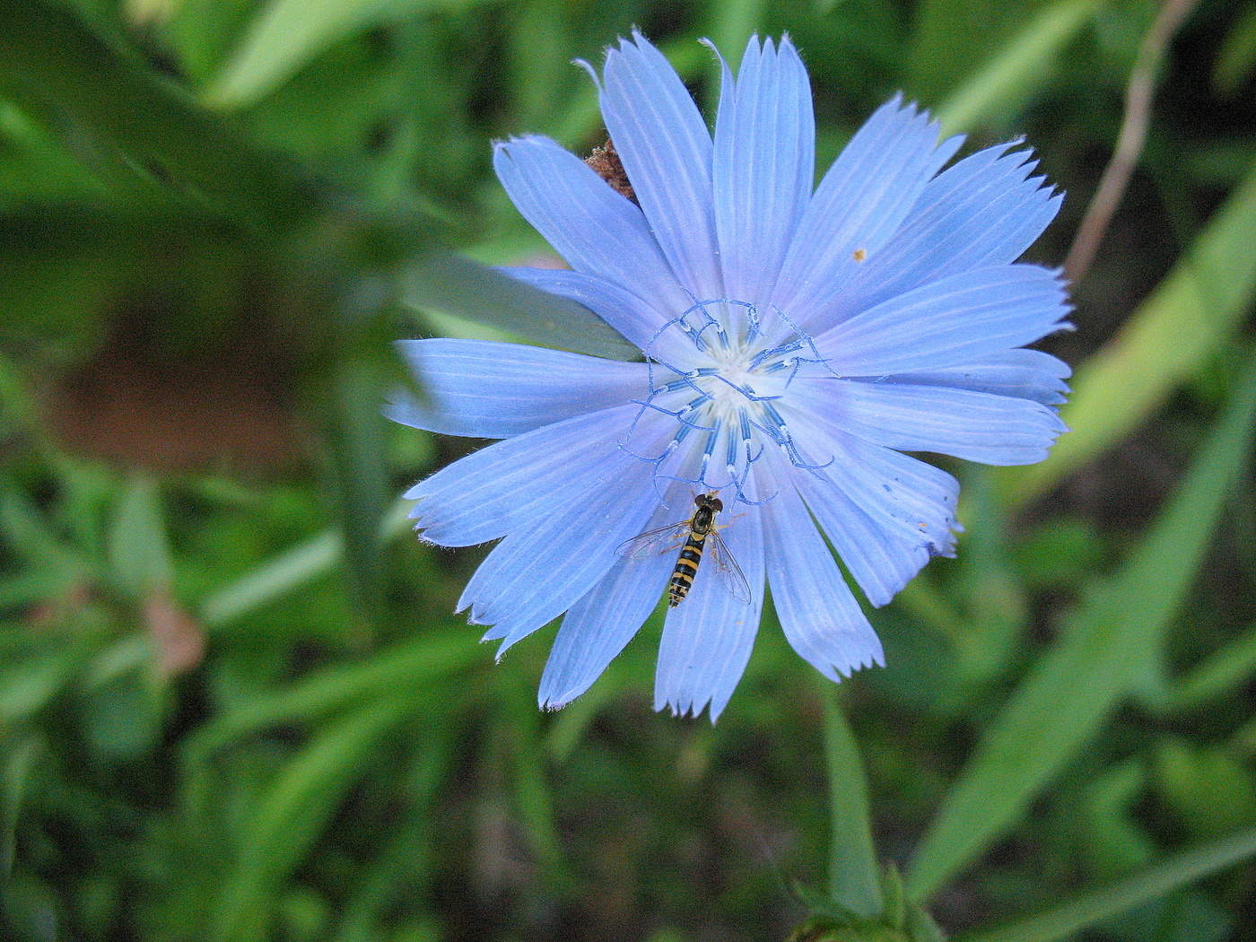 Последний месяц лета
