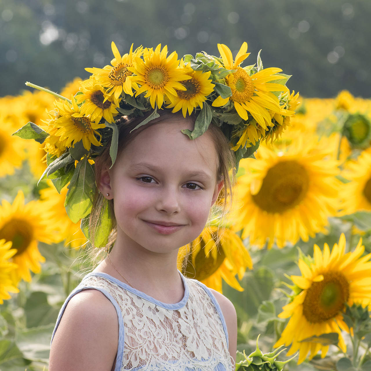 В подсолнухах