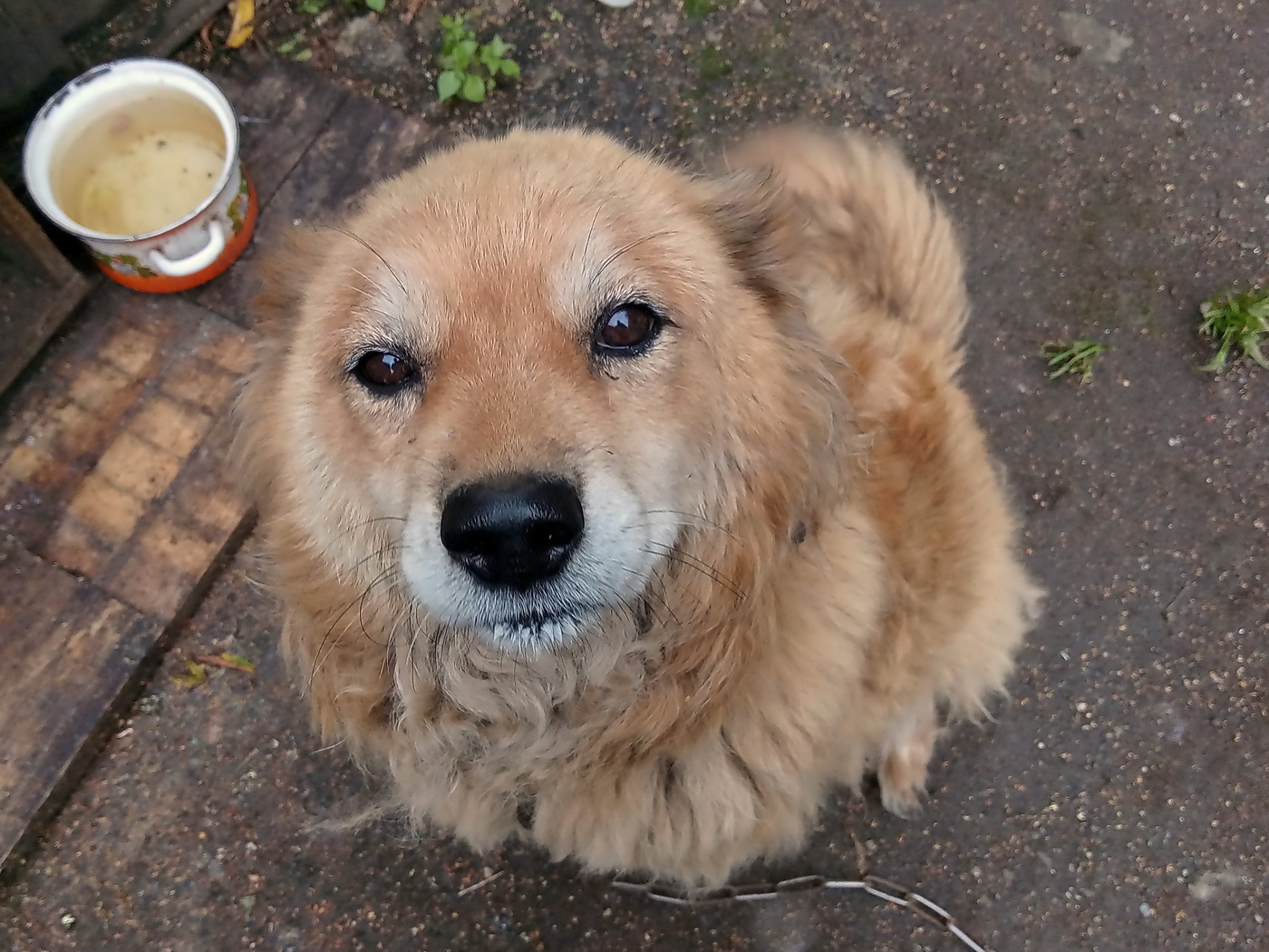 Последний месяц лета