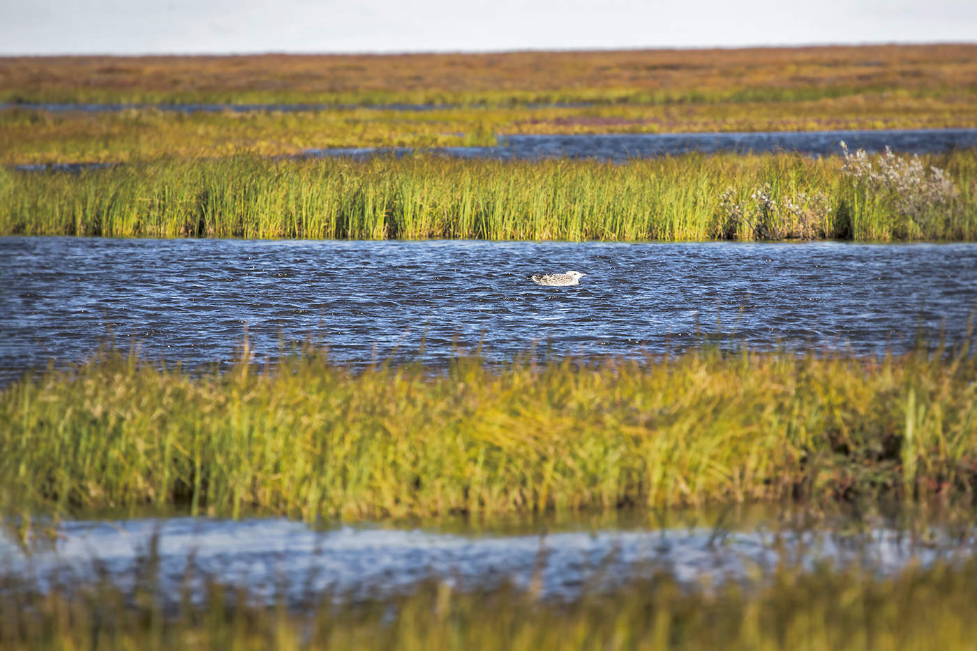 Последний месяц лета