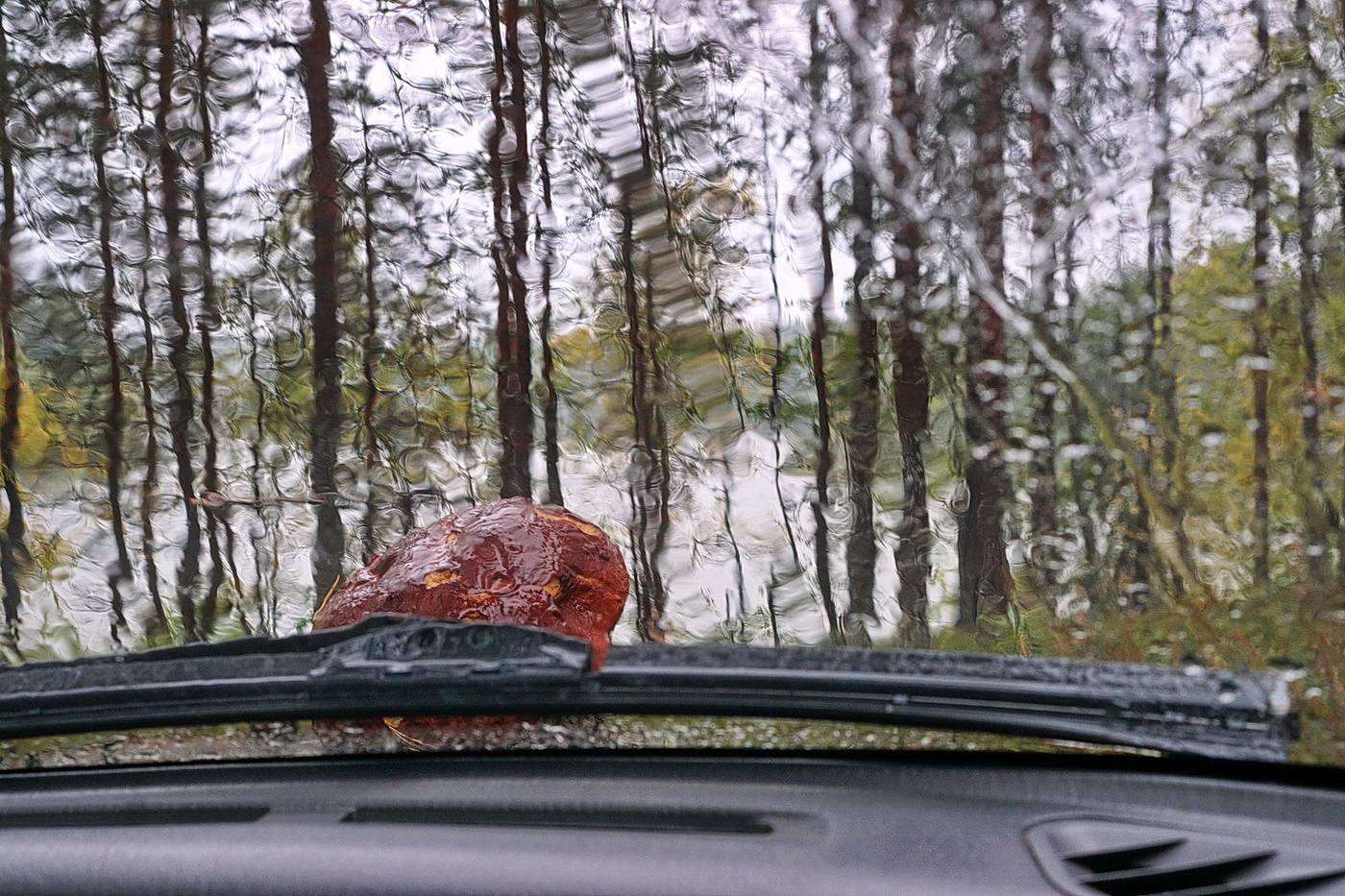 Последний месяц лета