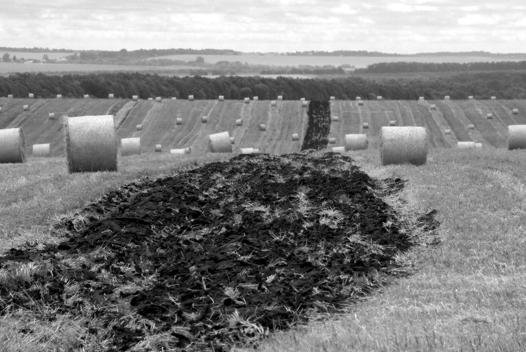 Последний месяц лета