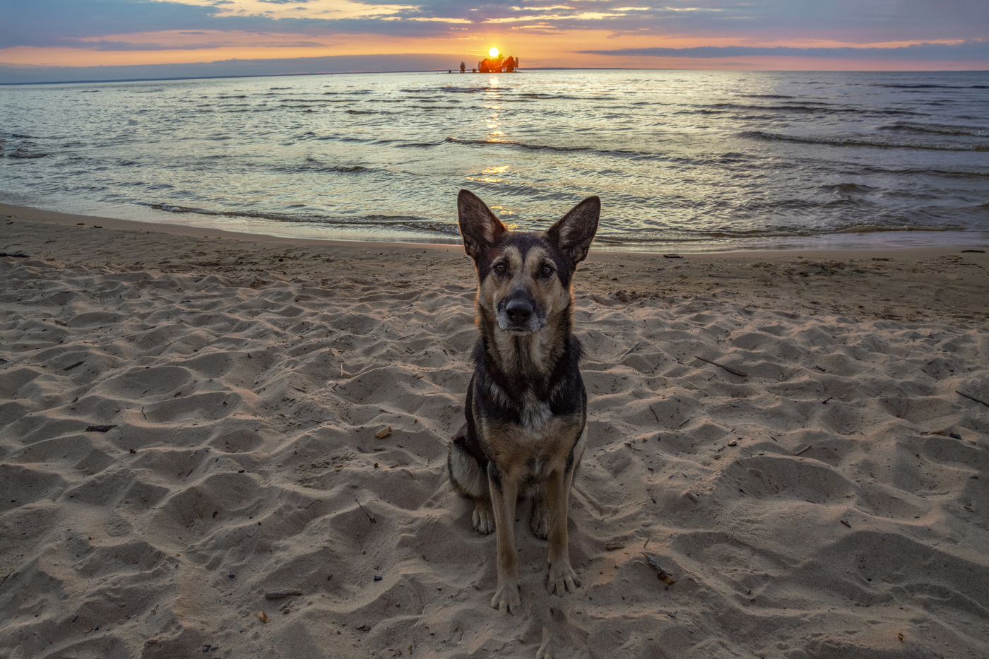 хозяин, скоро закат
