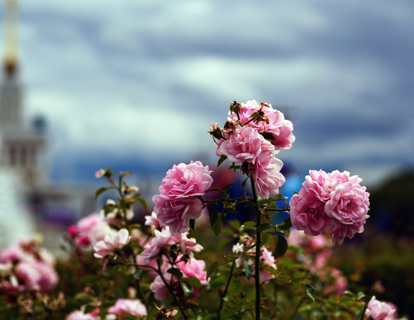 Последний месяц лета