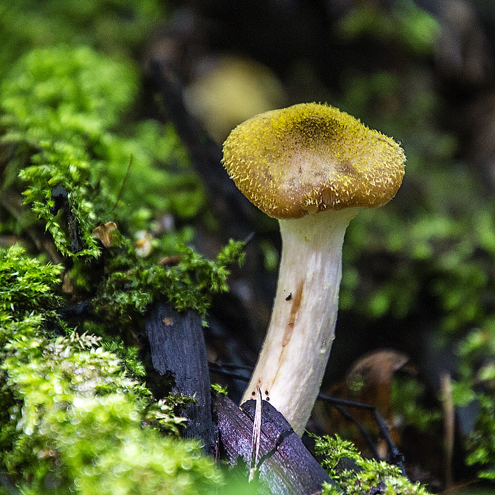 Последний месяц лета