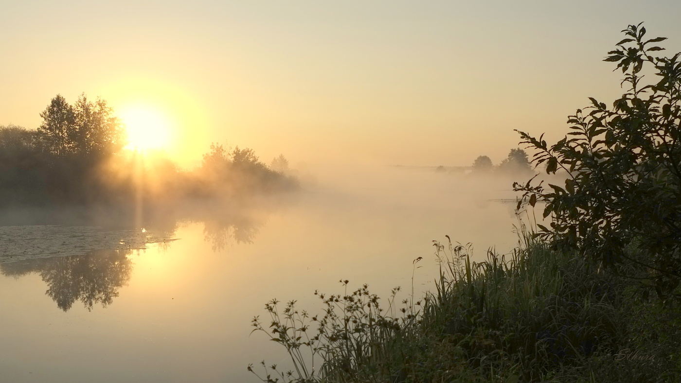 Прошлогоднее лето.