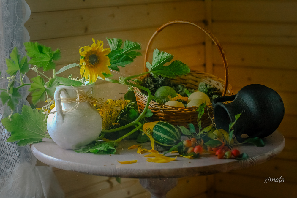 августовские зарисовки