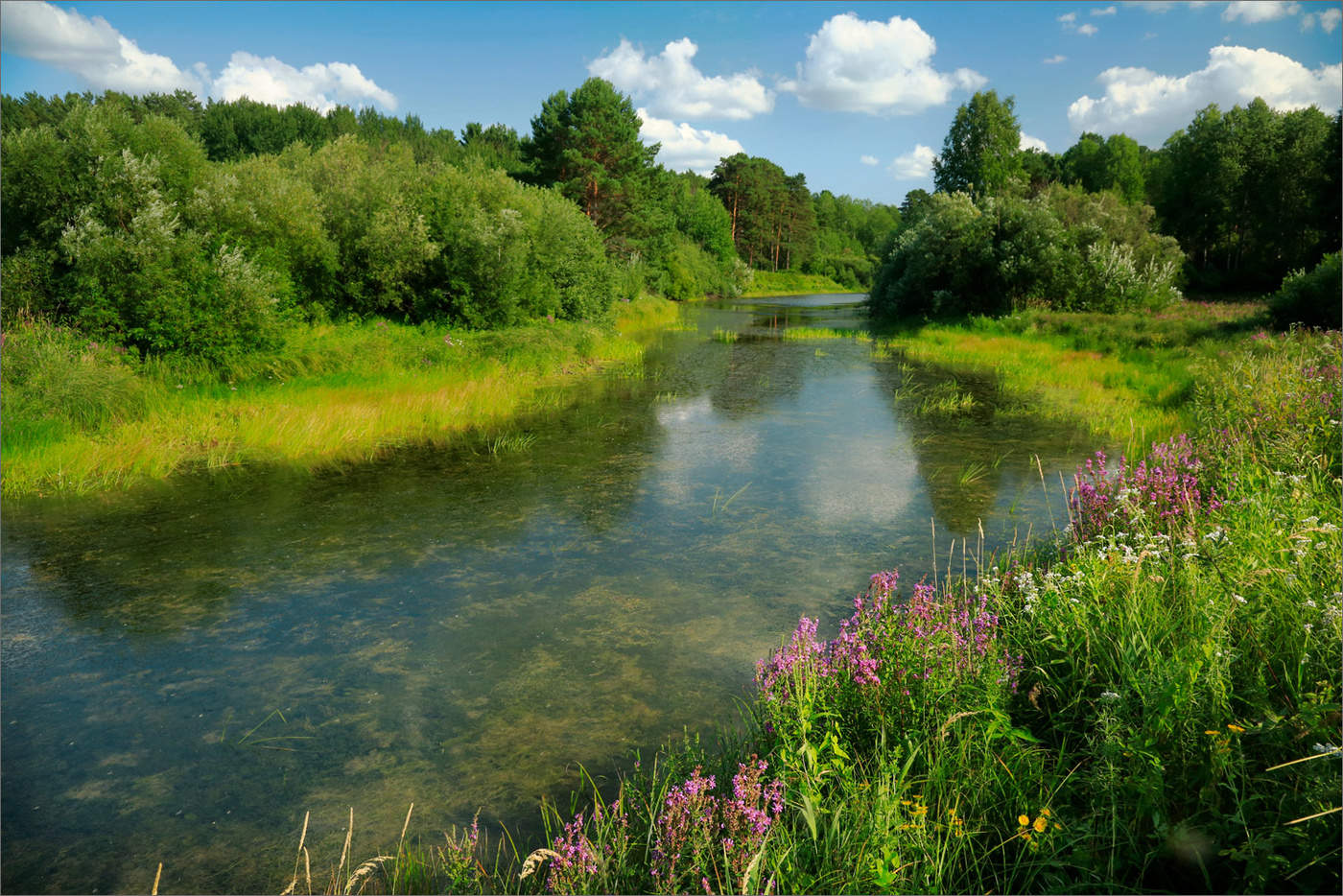 Без названия