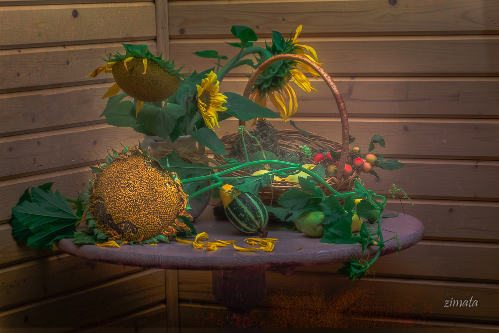 августовские зарисовки