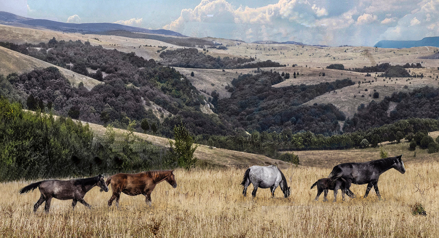 месяц - Август