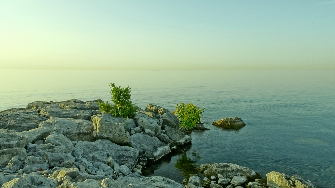 утренний свет