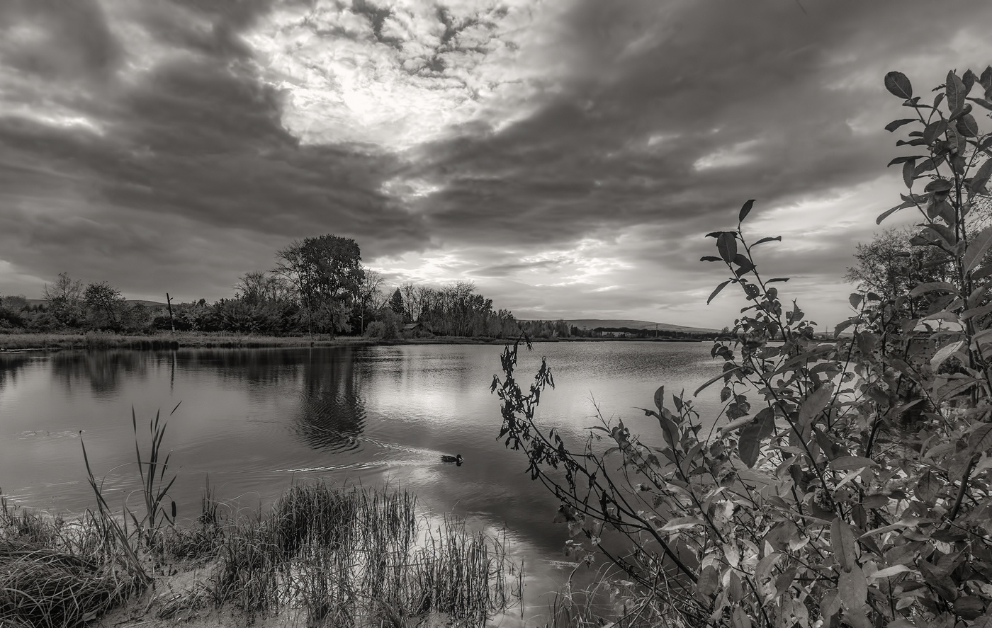 Вечерняя прогулка