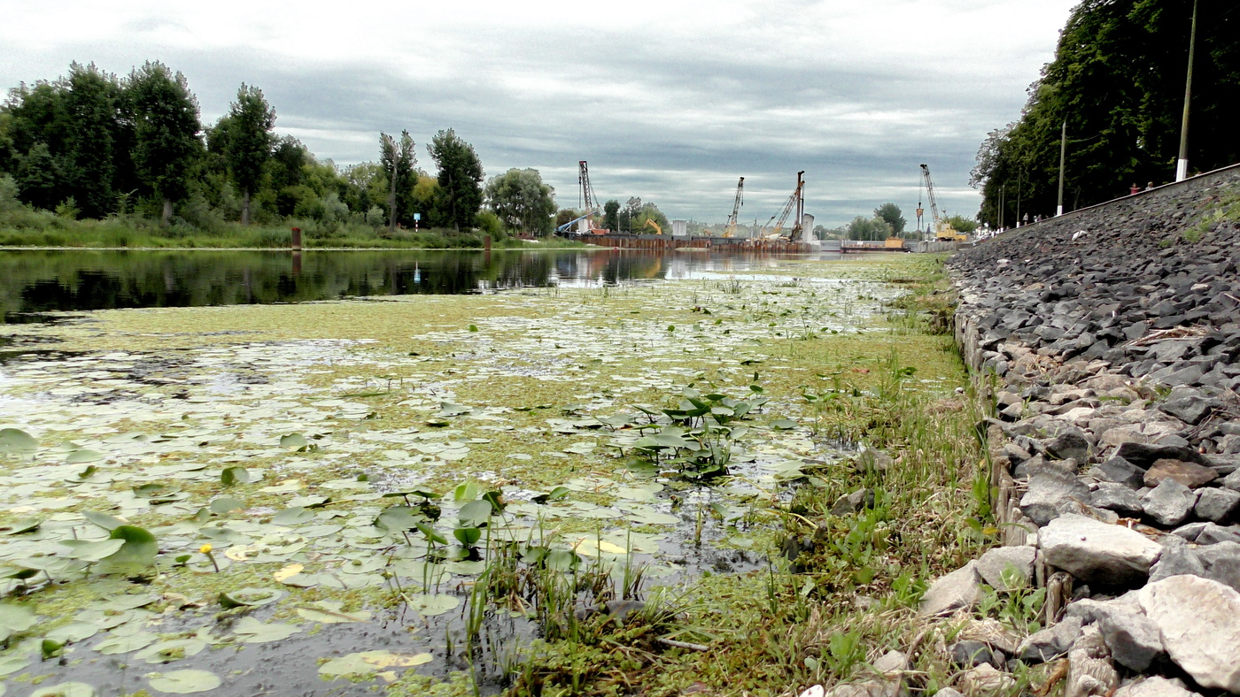 краны смотрят в зенит
