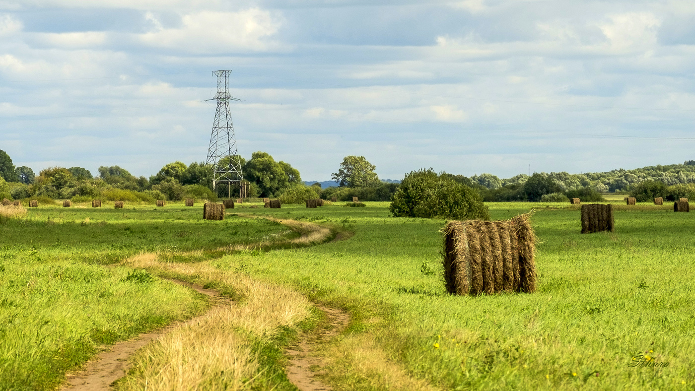 Сено убрано.
