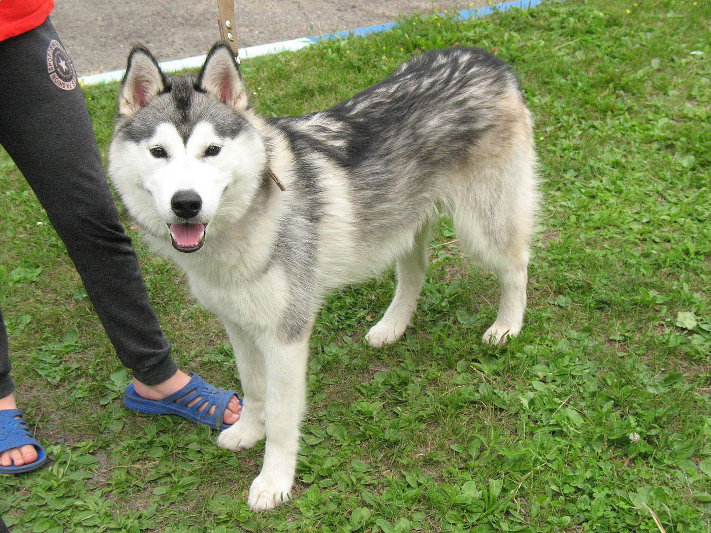 Добрый взгляд