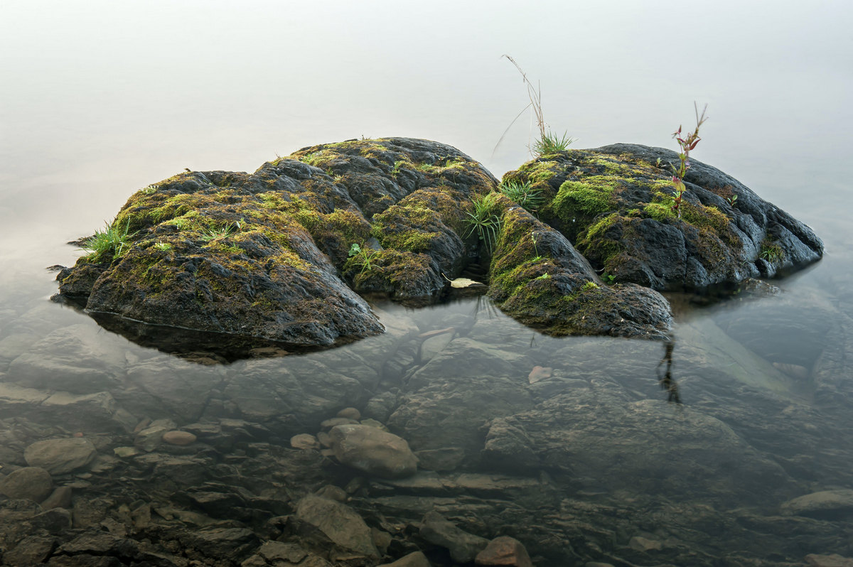 Каменный островок в тумане...