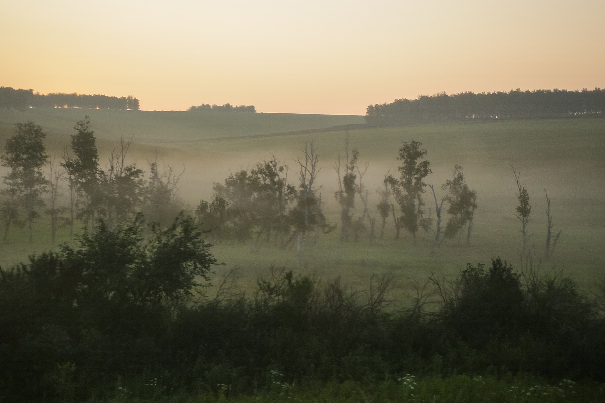 Мокрое утро