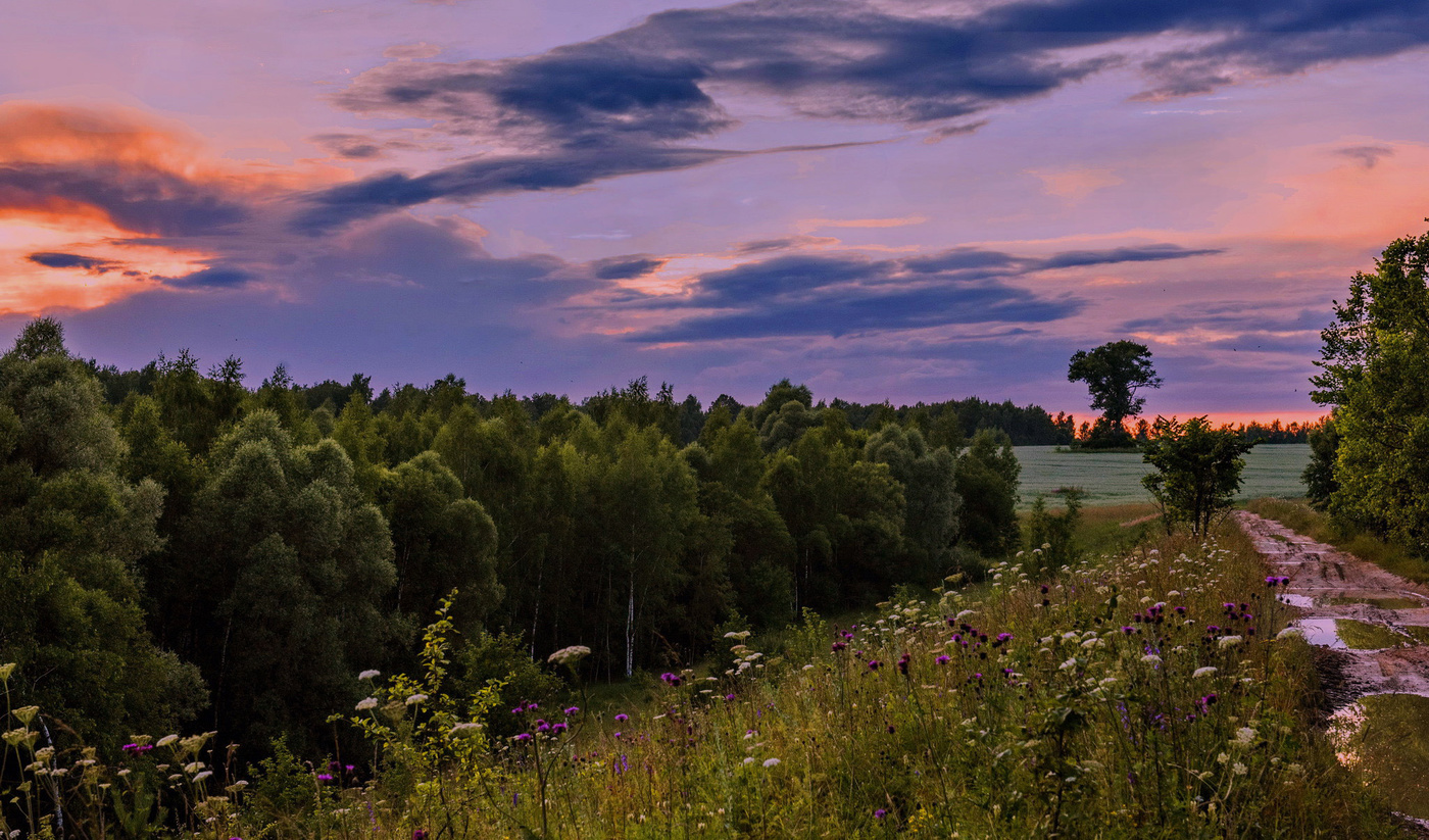 По просёлочной дороге.