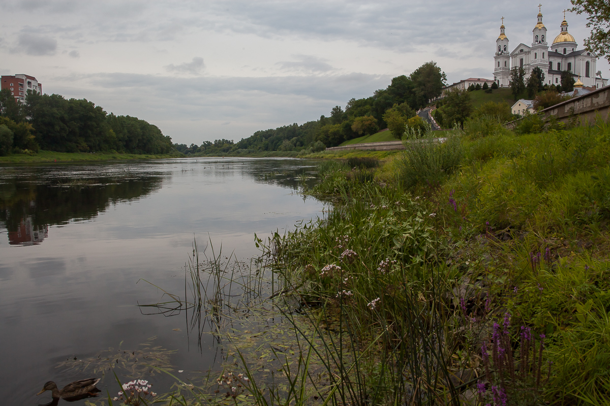 *про уточку*