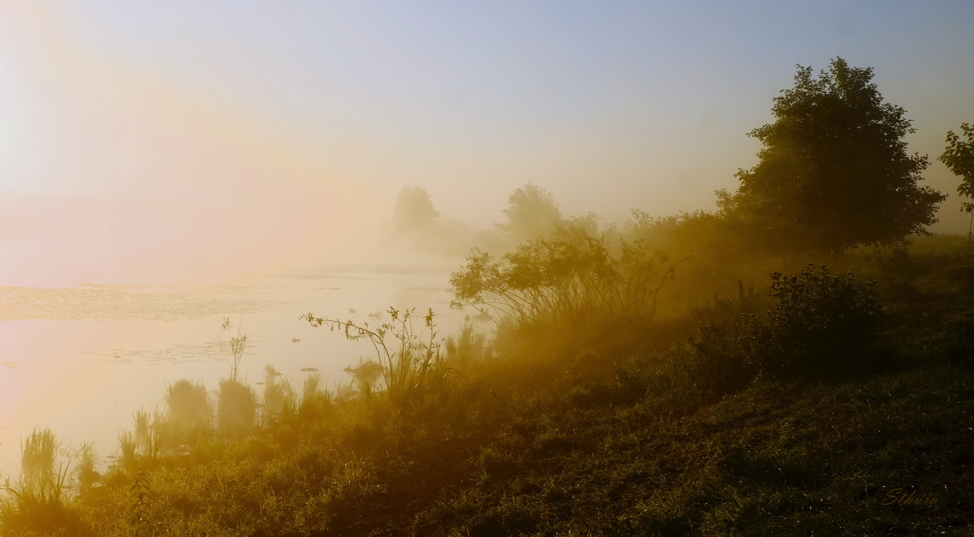 На берегу озера.