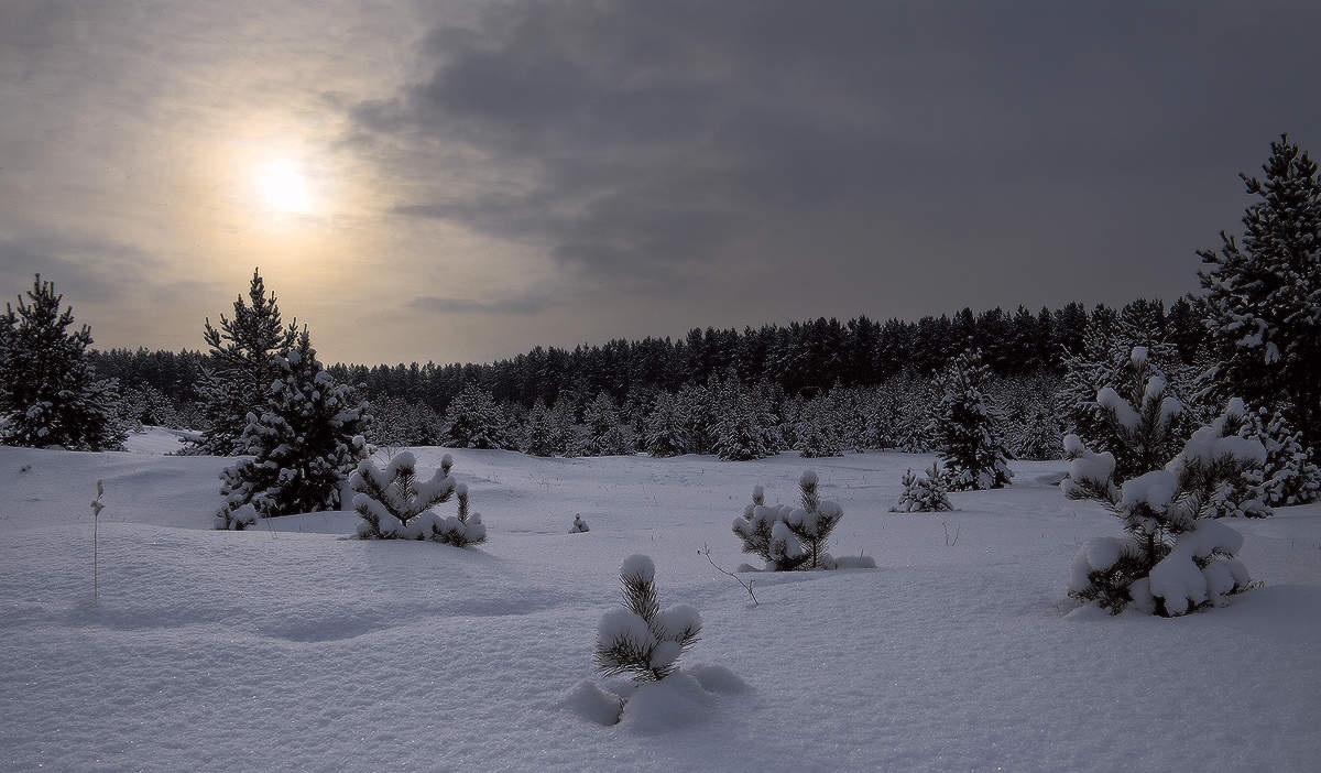 Зимним вечером