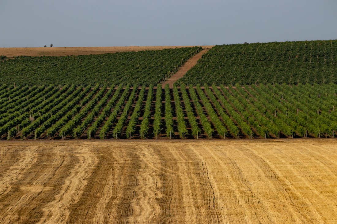 Крымские равнины...