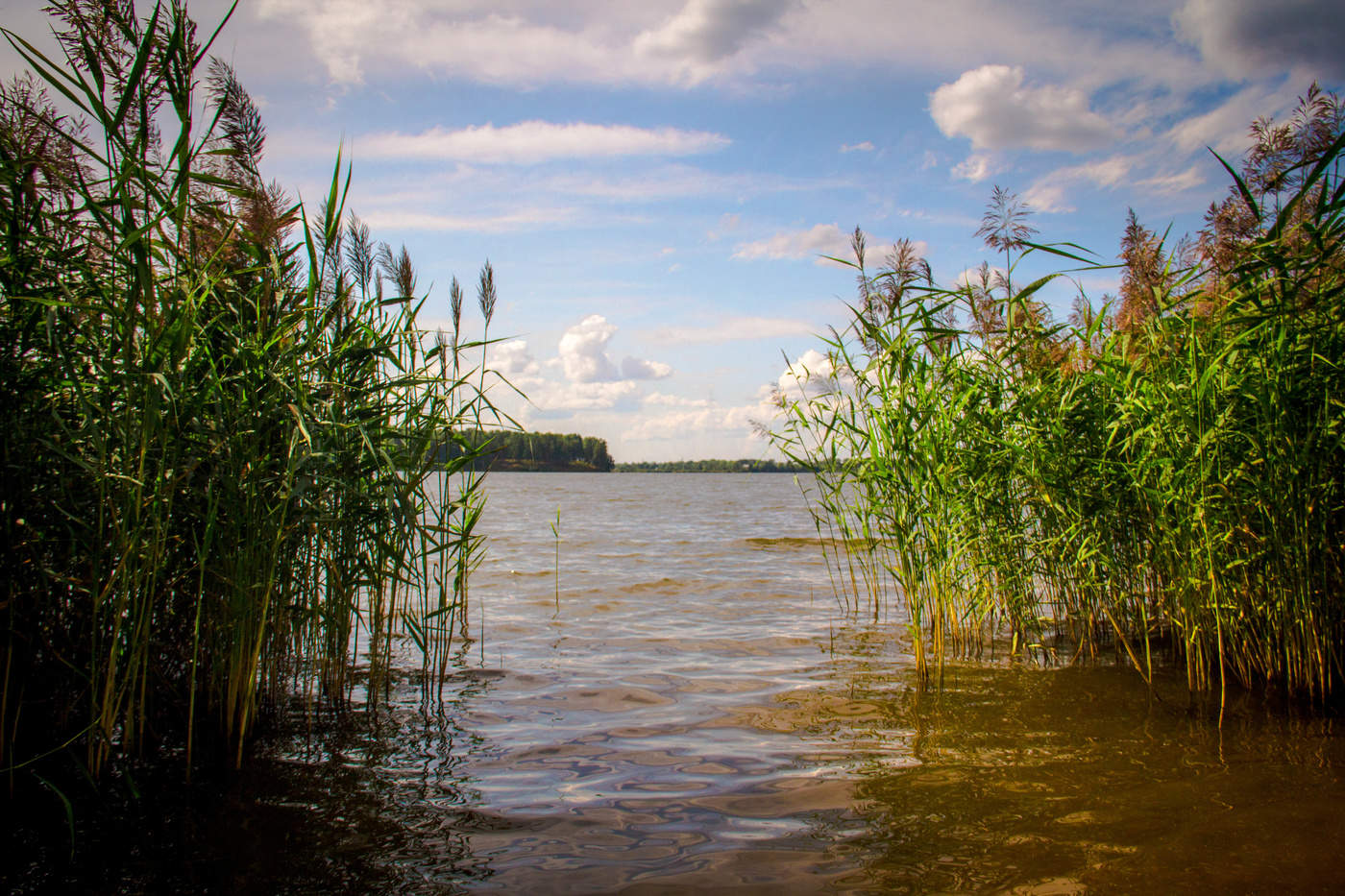 Летние зарисовки на озере.