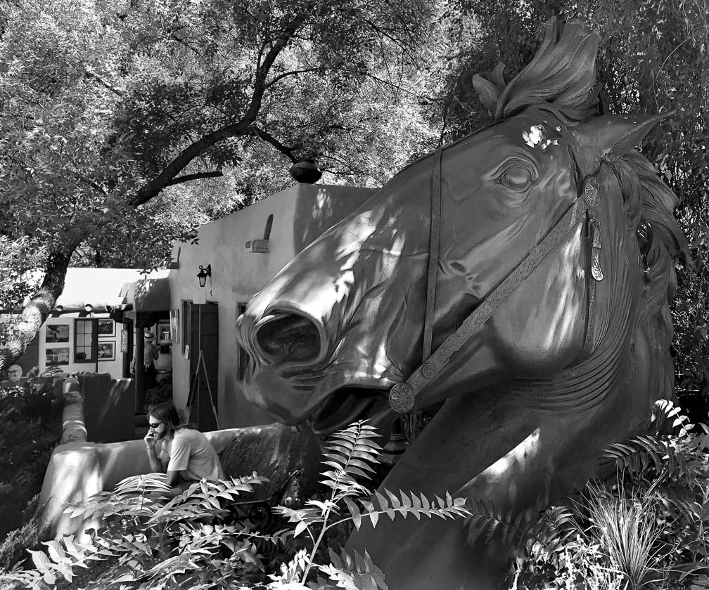 Этюд с головой лошади