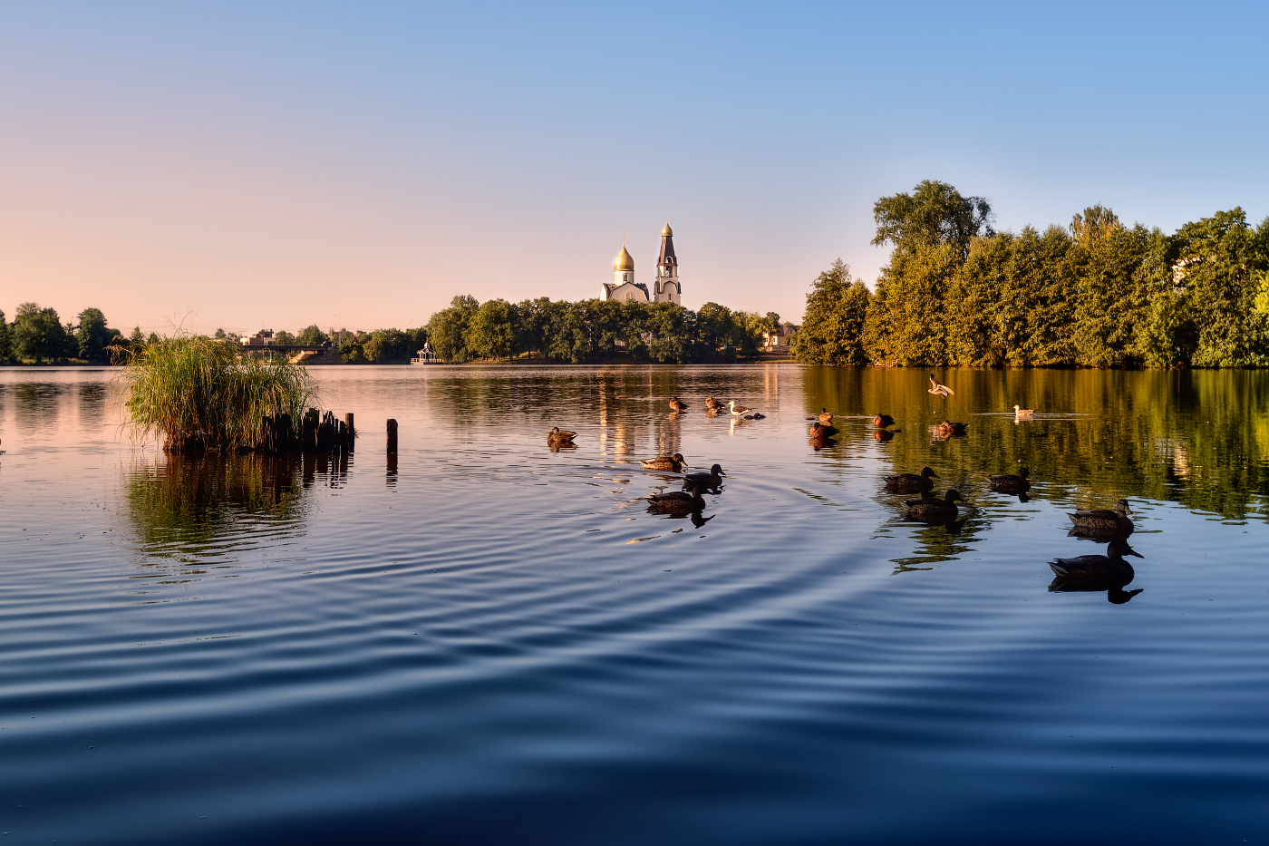 Сестрорецкое утро