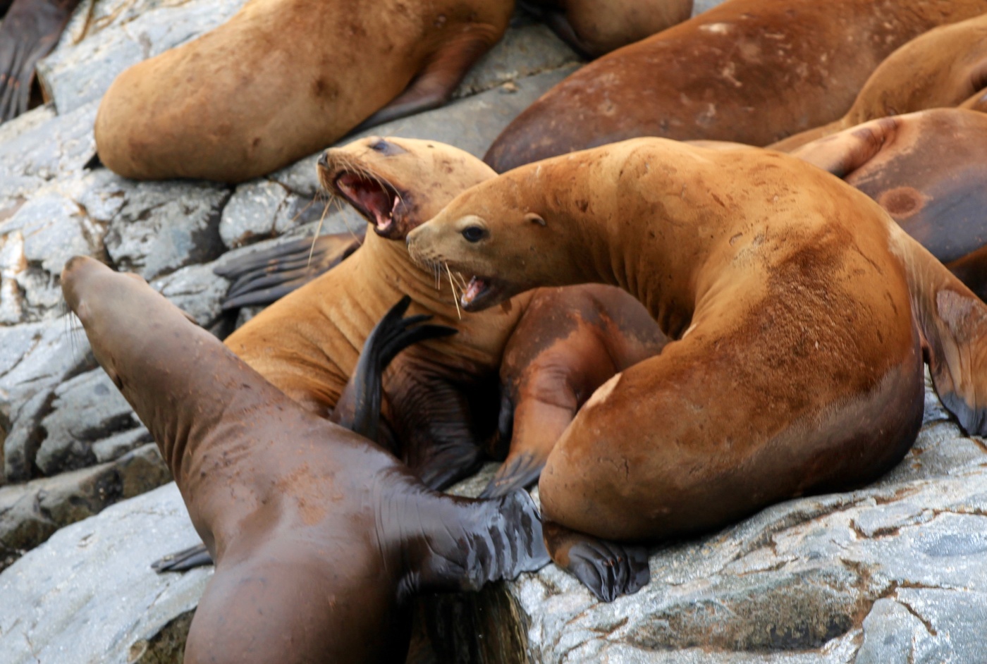Семейный разговор на повышенных тонах