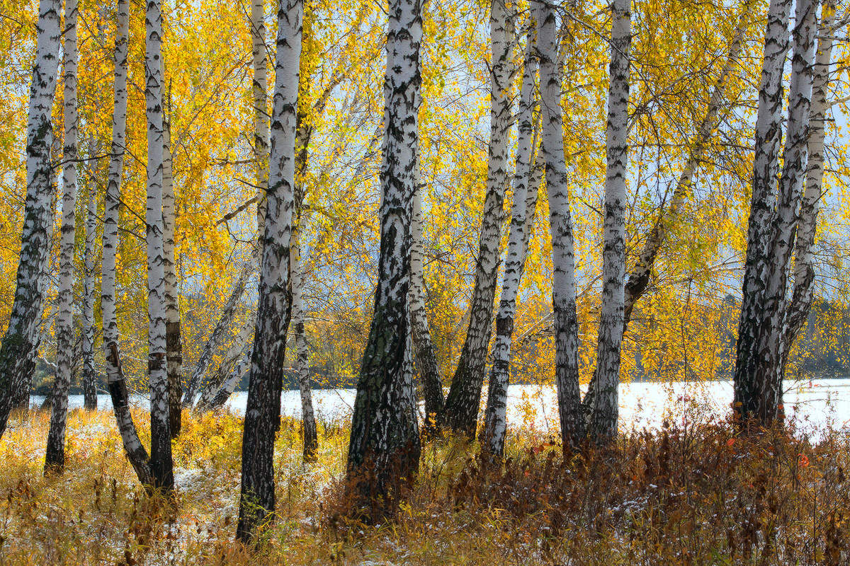 Скоро осень