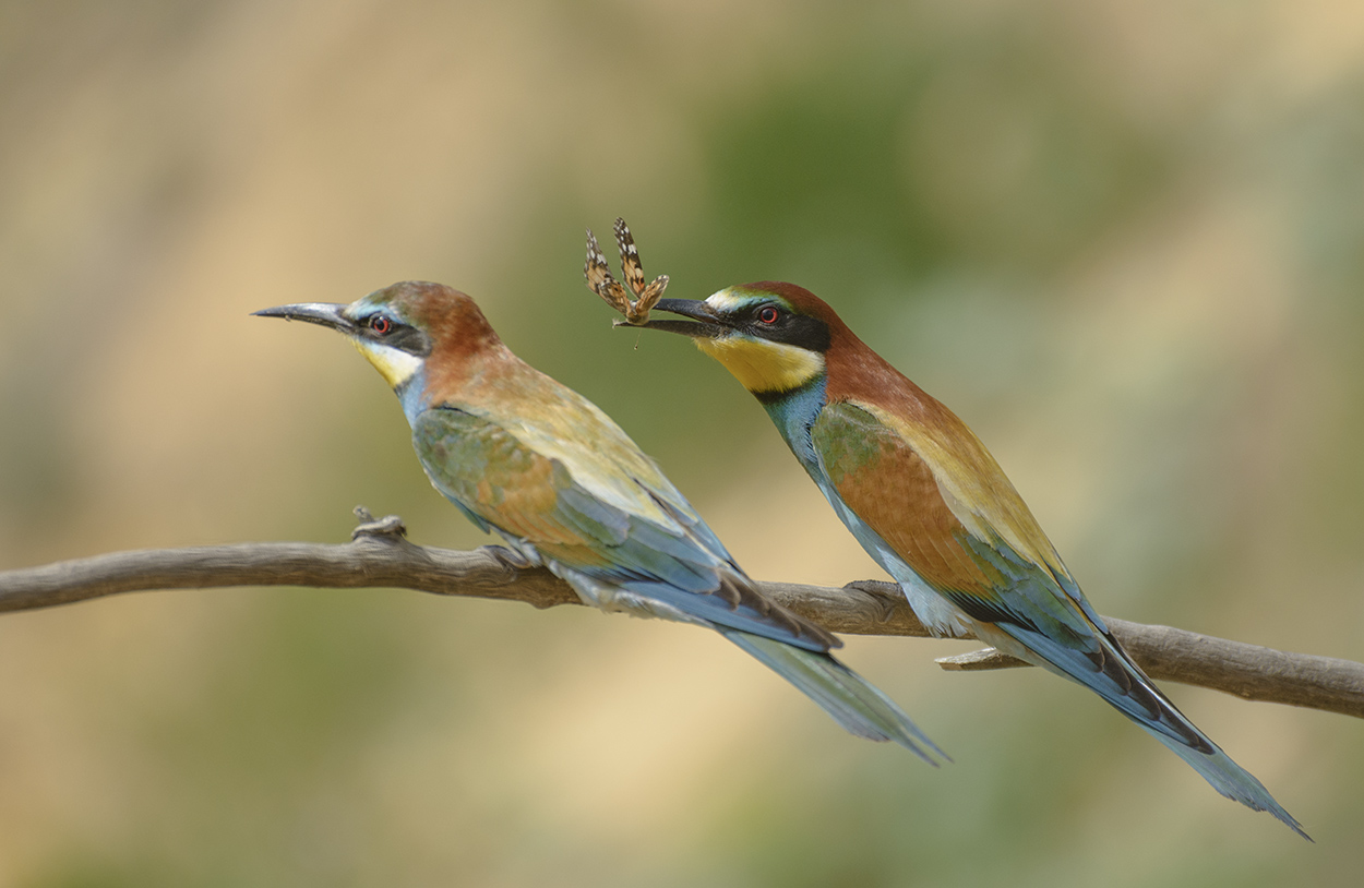 Все для тебя.