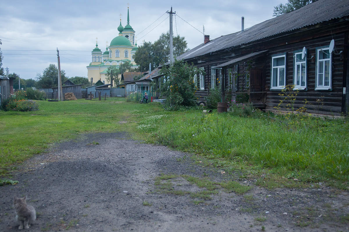 *про котика*