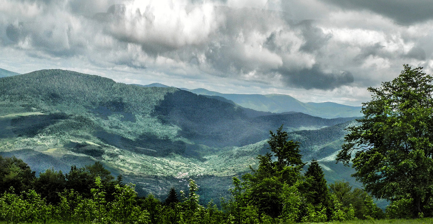 Карпаты проездом