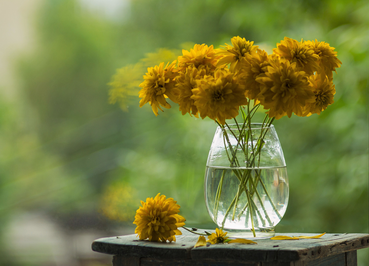 Золотые шары