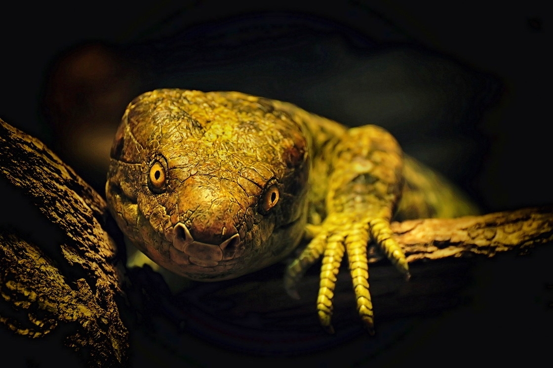 Ну здравствуй,мил,человек!