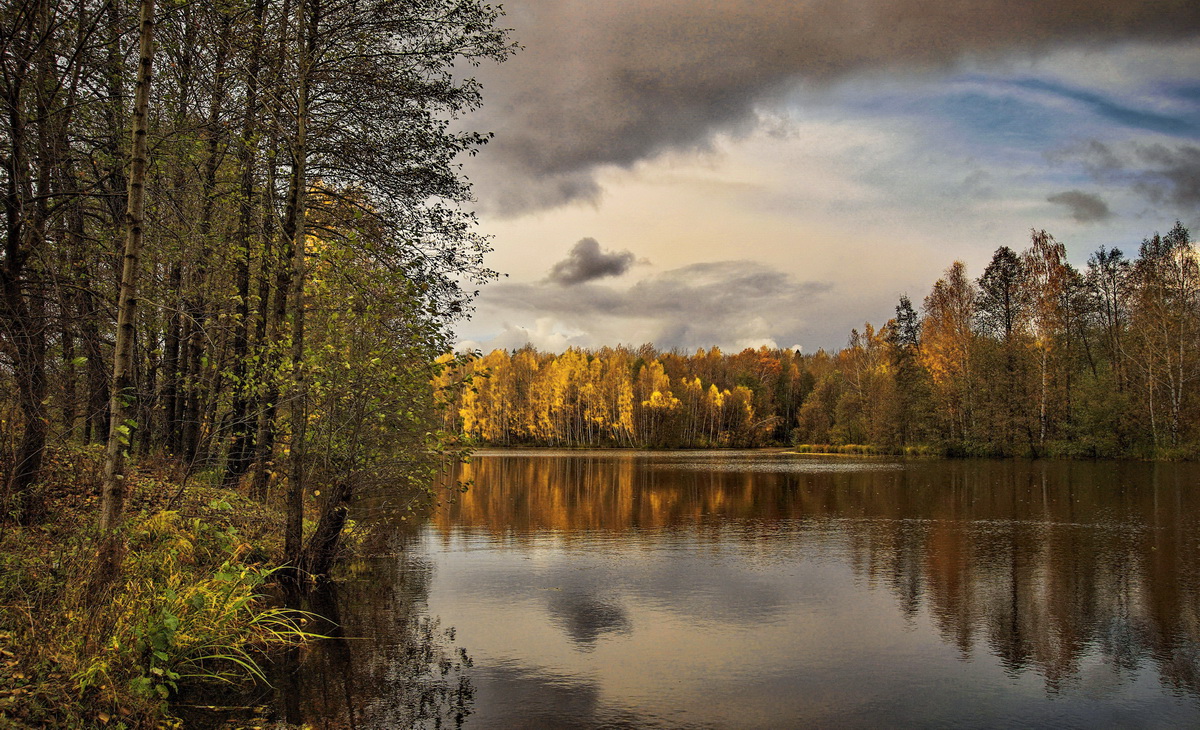 Золотое молчание