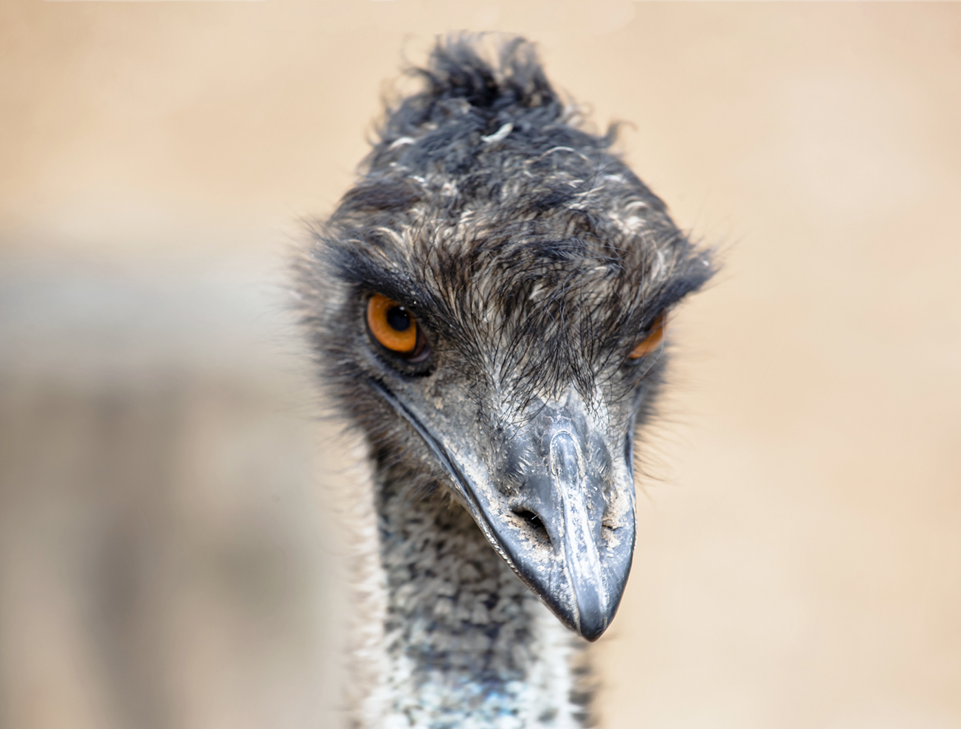 Строго говоря